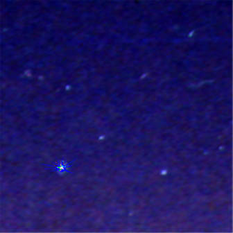 Stars